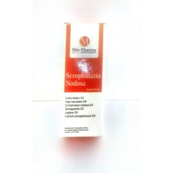SCROPHULARIA NODOSA